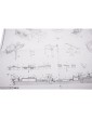 COREL Flying Fish 1860 1:50 kit