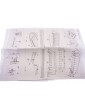 MAMOLI H.M.S. Beagle 1817 1:64 kit
