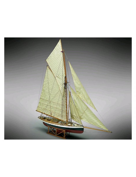Puritan kit 1:50 Mamoli