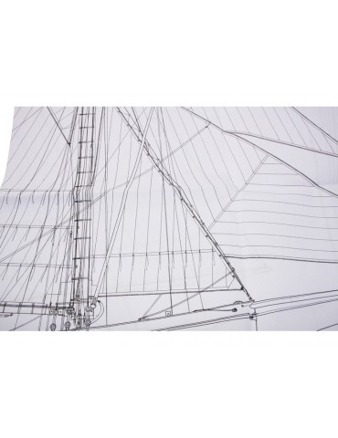 Puritan kit 1:50 Mamoli