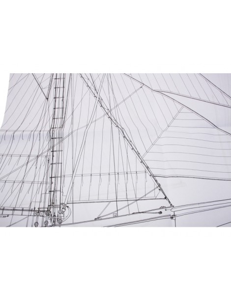 Puritan kit 1:50 Mamoli