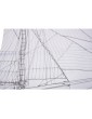 Puritan kit 1:50 Mamoli