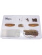 Mayflower Bausatz 1:70 Mamoli