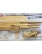MINI MAMOLI Flying Fish 1: 100 kit