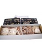 COREL Wasa 1626 1:75 kit