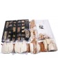 COREL Wasa 1626 1:75 kit