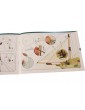CONSTRUCTO Swift 1:75 Adventure kit