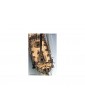 VICTORY MODELS Lady Nelson 1:64 kit