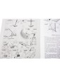 AMATI Oseberg Viking Ship 1:50 set