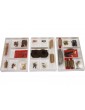 AMATI Mayflower English Gallery 1620 1:60 kit