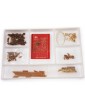 AMATI Mayflower English Gallery 1620 1:60 kit