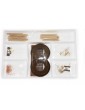 AMATI Mayflower English Gallery 1620 1:60 kit