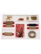 VICTORY MODELS Revenge 1577 1:64 kit