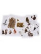 CALDERCRAFT H.M.S. Mars 1781 1:64 kit