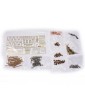 CALDERCRAFT H.M. Chatham 1660 1:64 kit