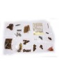 CALDERCRAFT Convulsion H.M. Mortar 1804 1:64 kit
