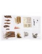 CALDERCRAFT H.M Ballahoo schuner 1803 1:64 kit