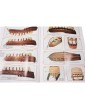 Mantua Model HMS Bounty Le Piccole 1:100 kit