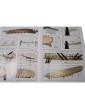 Mantua Model Cutty Sark Le Piccole 1:100 kit