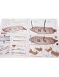 Mantua Model Lancia Armata Svedese 1:35 kit