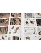 Mantua Model San Felipe 1:75 kit