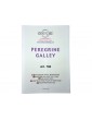 Mantua Model Peregrine Galley 1:60 kit