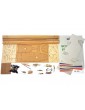 Mantua Model Sciabeggio 1:49 kit