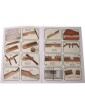 Mantua Model English cannon 1:17 kit