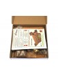 Mantua Model French mortar and pestle 1:17 kit