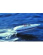 Florida motor boat kit 1:10
