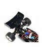 Losi 1/16 Mini-B RTR Blue