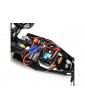 Losi 1/16 Mini-B RTR Blue