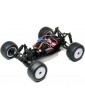 Losi Mini-T 2.0 Brushless RTR blue