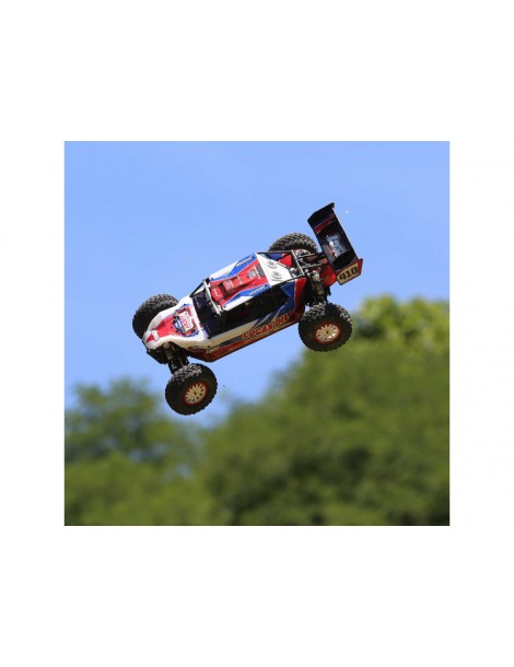 Losi 1/10 Tenacity Pro 4WD RTR Fox Racing