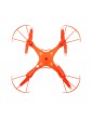 NINCOAIR Quadrone Spike 2.4GHz RTF
