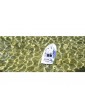 NINCOCEAN Pitiusa Yacht 2.4GHz RTR
