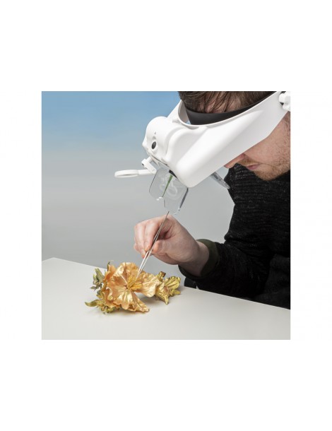Lightcraft Professional LED Headband Magnifier Set