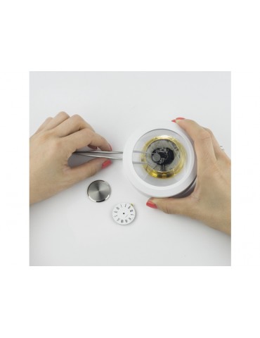 Lightcraft LED Dome Magnifier