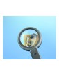 Lightcraft Foldable LED Magnifier with Inbuilt Stand