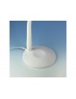 Lightcraft LED Flexible USB Magnifier Lamp