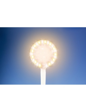 Lightcraft LED Flexible USB Magnifier Lamp