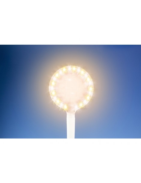 Lightcraft LED Flexible USB Magnifier Lamp