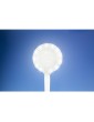 Lightcraft LED Flexible USB Magnifier Lamp