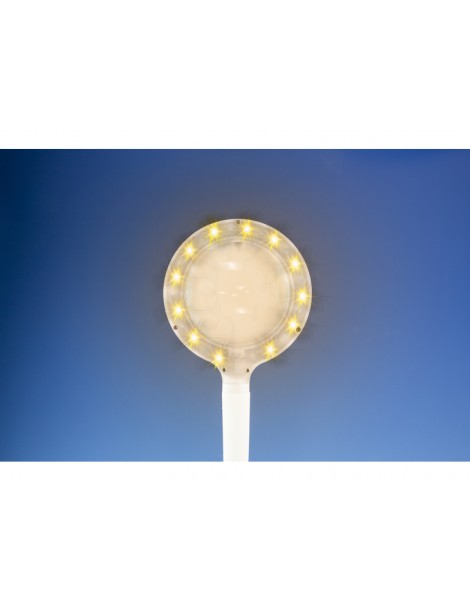 Lightcraft LED Flexible USB Magnifier Lamp
