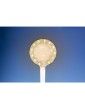 Lightcraft LED Flexible USB Magnifier Lamp