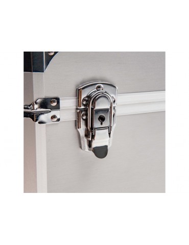 Spektrum Dual Aluminum Stand Up Transmitter Case