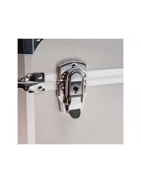 Spektrum Dual Aluminum Stand Up Transmitter Case