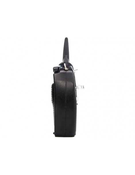 Spektrum DXs DSMX Transmitter Only