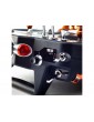 Spektrum iX20 DSMX Transmitter Only, case