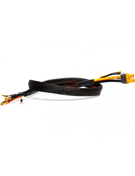 Spektrum IC3 Battery: 5mm Bullet Smart Battery Charge Cable